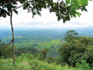 ZR 01 - 08 - El Parque Nacional.jpg